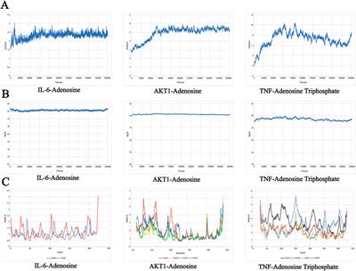 Molecular targets and mechanisms of Sijunzi decoction in the treatment of Parkinson’s disease: evidence from network pharmacology, molecular docking, molecular dynamics simulation, and experimental validation